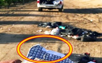 Terrible Guy Throws His Garbage All Over Farmer’s Land. Farmer Finds Something In The Trash and Gets Epic Revenge!