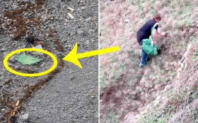 THIS Guy Noticed Her Washed Up On The Rocky Hill On The Verge Of Death. What He Does Next Is Unbelievable!