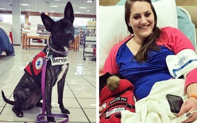 Mom With Her Spoiled Child Hits This Lady’s Service Dog So She Teaches Em’ a Lesson They Will Never Forget