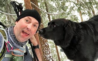 Weird Dog Shows Up On The Trail As This Couple Hikes! Then They Notice The Words Written On His Collar!