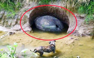 Farmer Working His Land Discovers a 3,000 Year Old Hidden Mysterious Secret Lurking In a Hole Beneath His Farm!