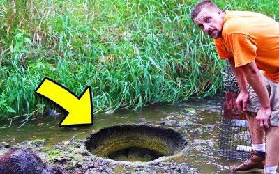 Guy Notices THIS ‘Fuzzy Lake Creature’ Trapped In The Dirt! But Then He Realizes The Horrifying Truth!