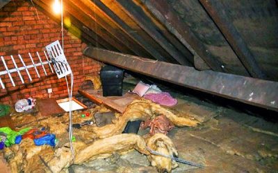 She Is STUNNED When She Discovers Her Ex-Boyfriend Living In Her Attic 12 Years After They Had Broken Up!