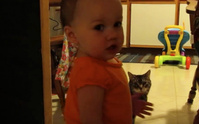 Watch This Cat Have His Daily Morning Conversation With This Baby